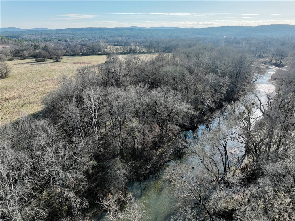 Aerial view of a heavily wooded area and a mountain backdrop