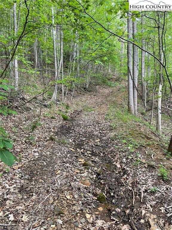 Tbd Tbd Edwin Blevins Road Lansing, NC 28643 - Photo 4 of 13