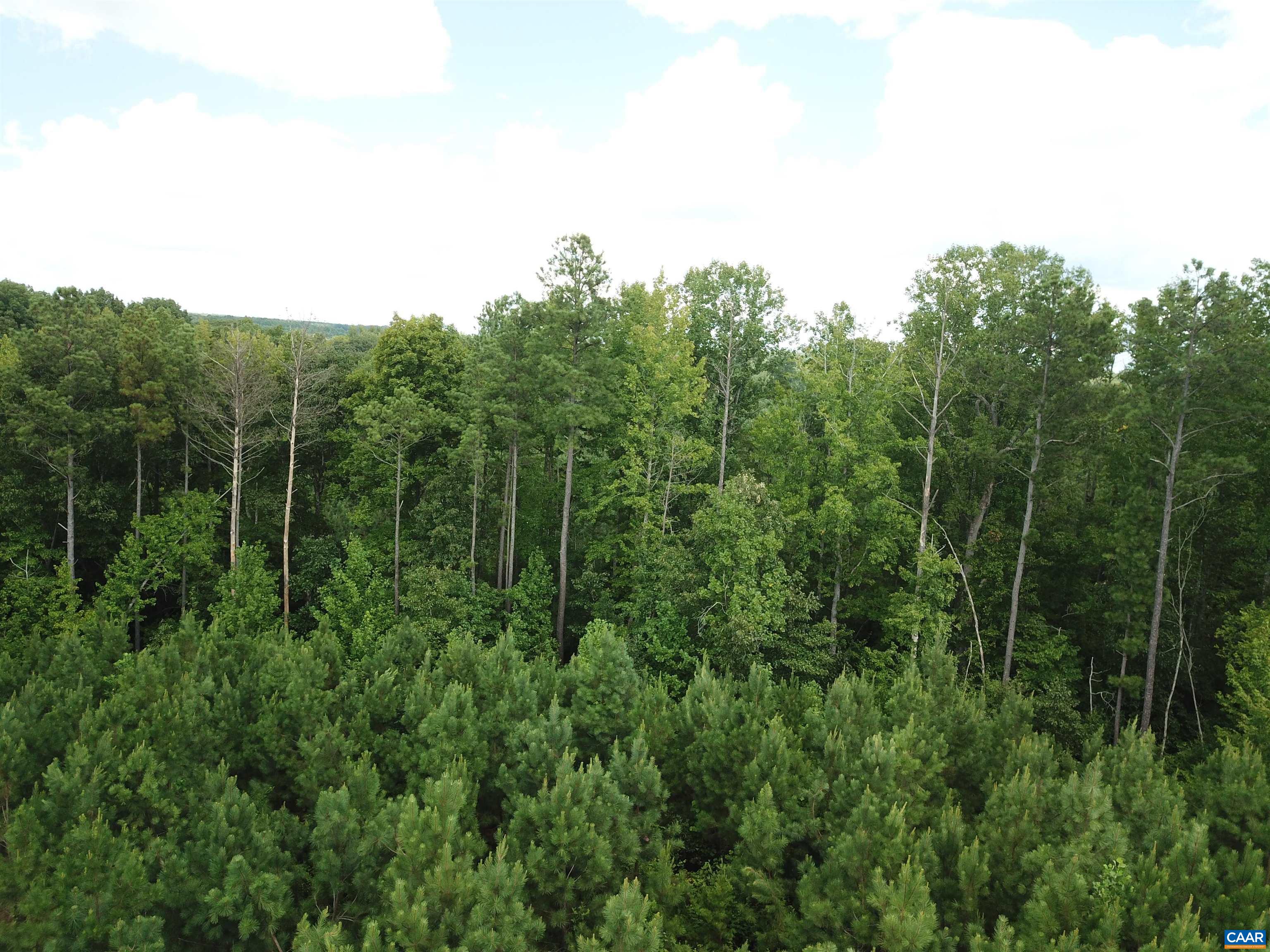 Tba Lot 3 Tba Road New Canton, VA 23123 - Photo 14 of 47 Gallery Image 14