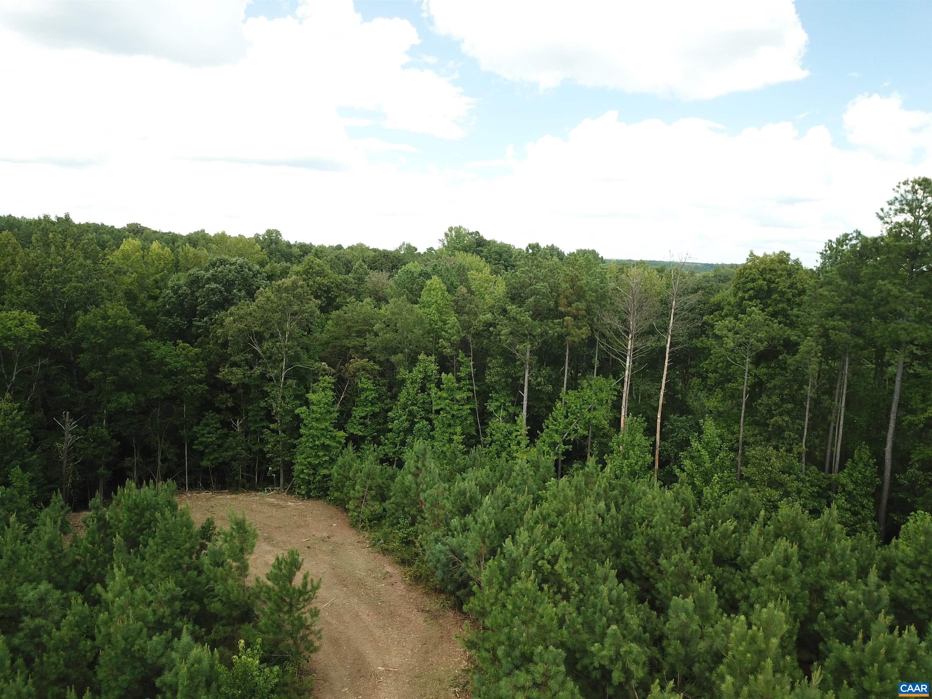 Tba Lot 3 Tba Road New Canton, VA 23123 - Photo 15 of 47 Gallery Image 15