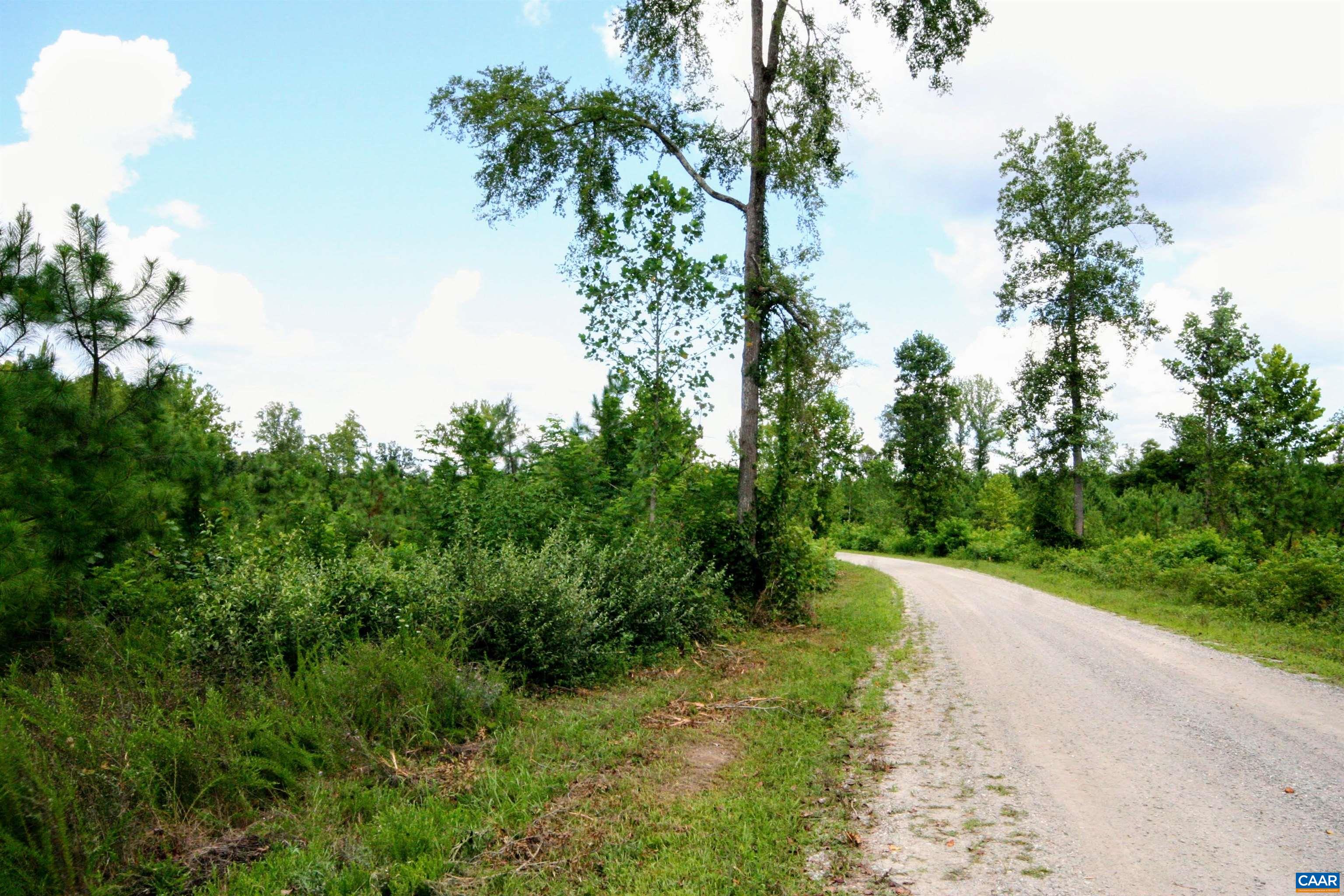 Tba Lot 3 Tba Road New Canton, VA 23123 - Photo 19 of 47 Gallery Image 19