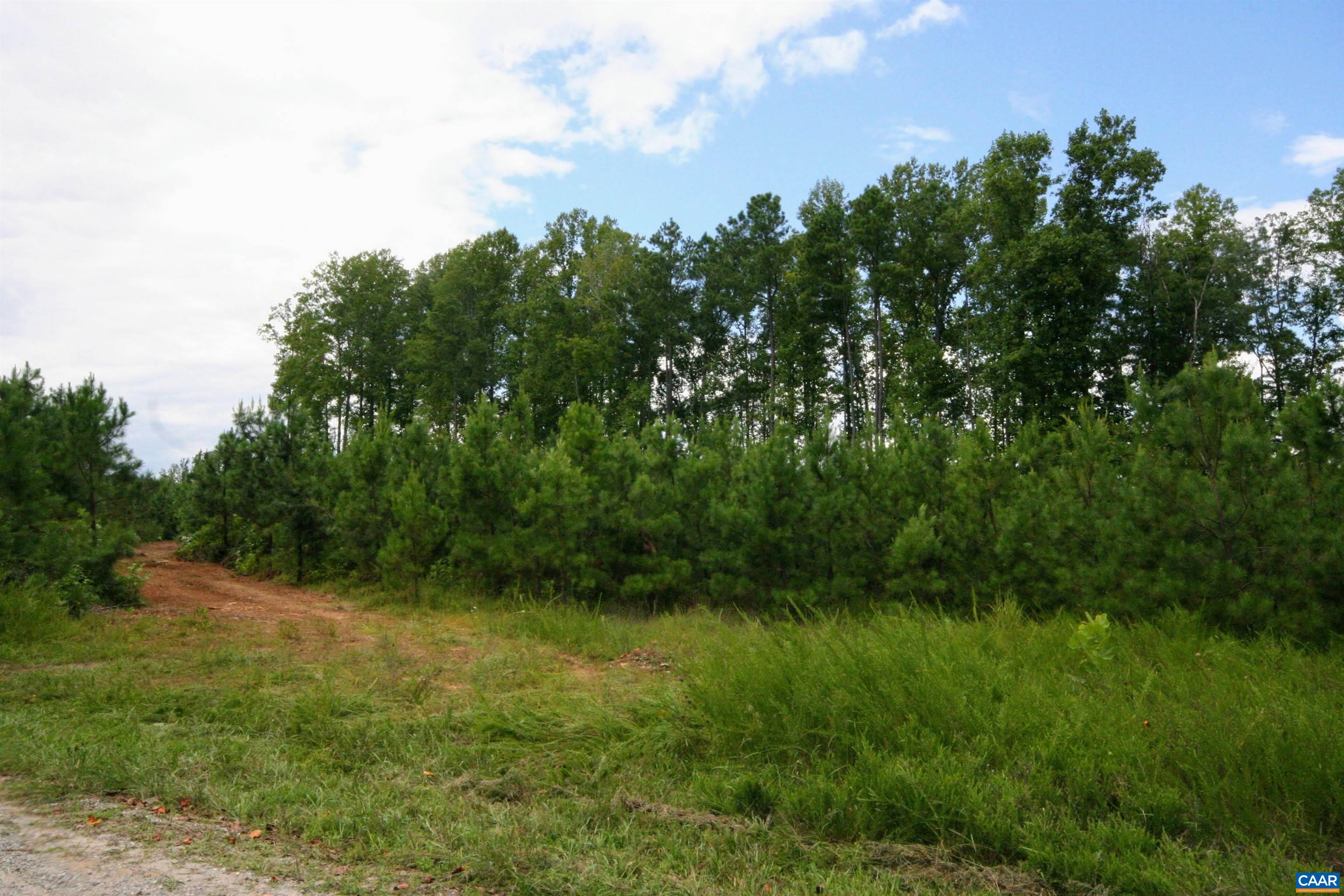 Tba Lot 3 Tba Road New Canton, VA 23123 - Photo 20 of 47 Gallery Image 20