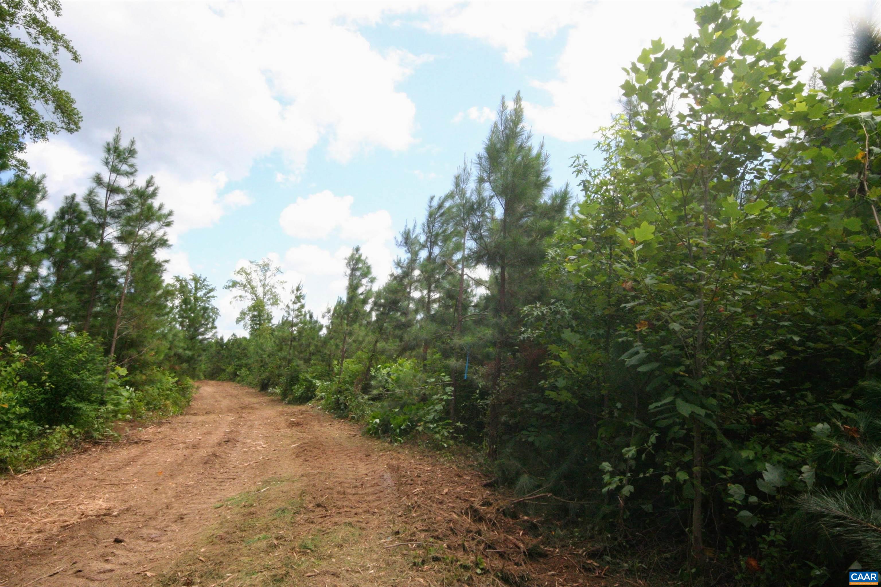 Tba Lot 3 Tba Road New Canton, VA 23123 - Photo 21 of 47 Gallery Image 21