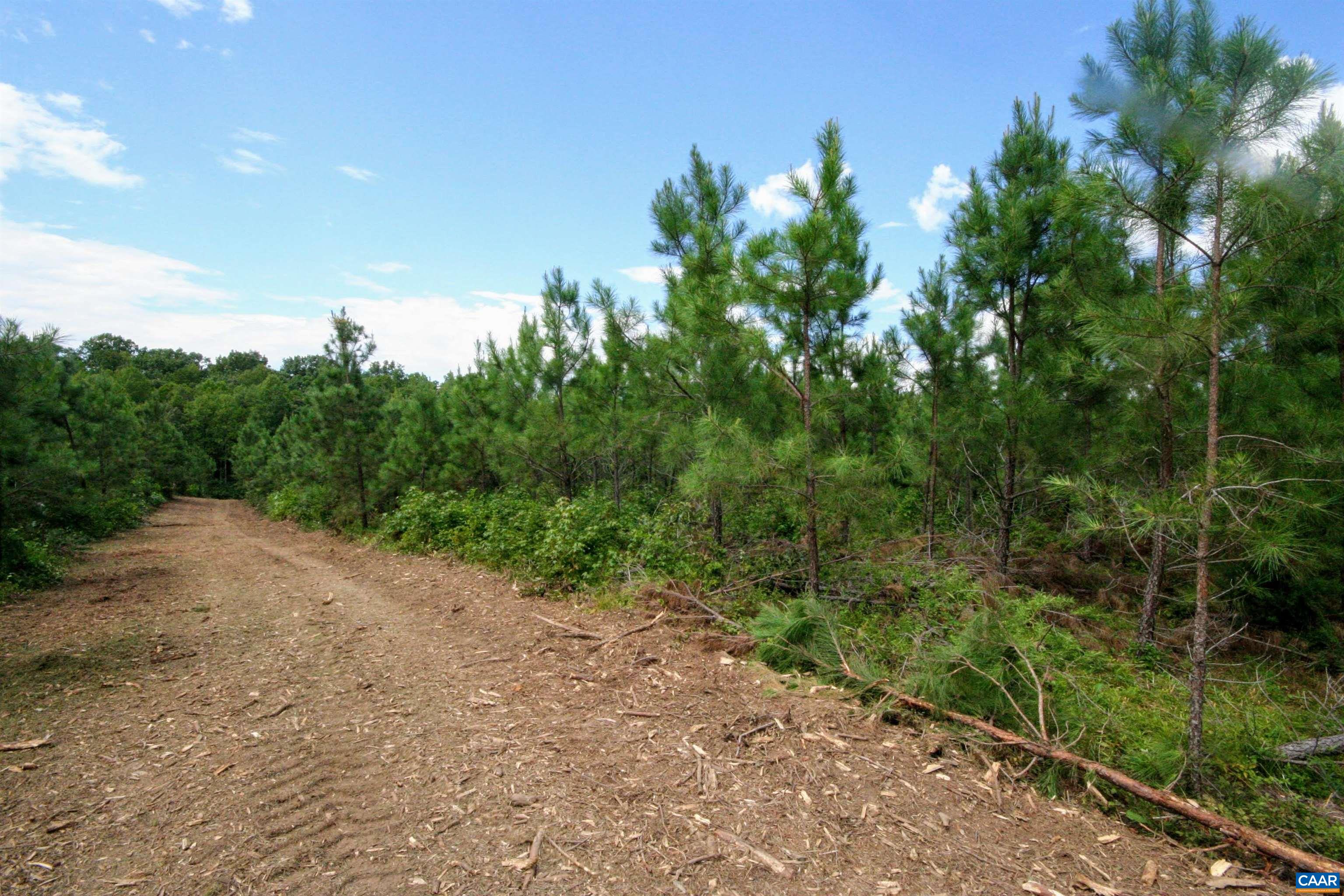 Tba Lot 3 Tba Road New Canton, VA 23123 - Photo 23 of 47 Gallery Image 23