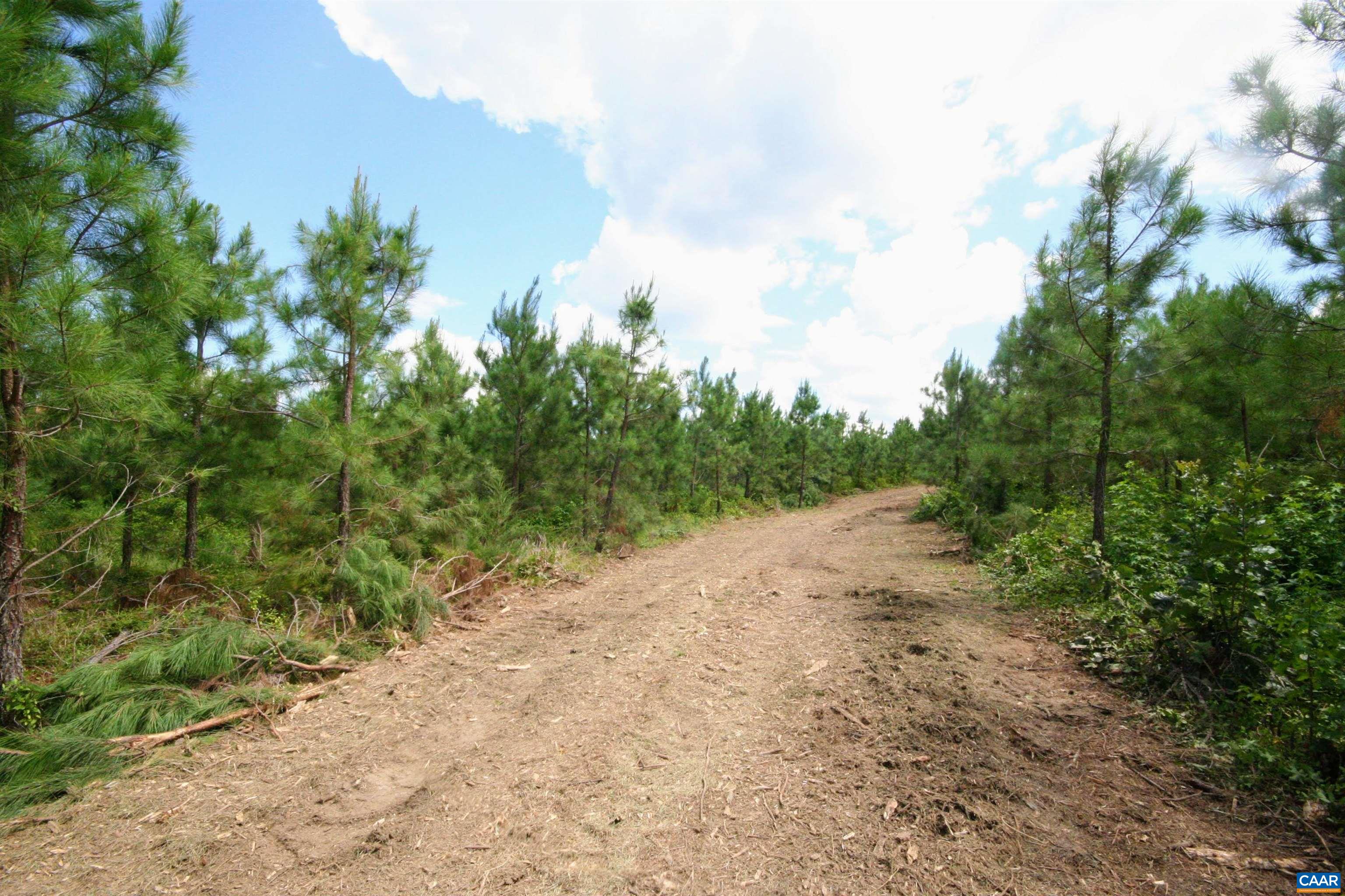 Tba Lot 3 Tba Road New Canton, VA 23123 - Photo 25 of 47 Gallery Image 25