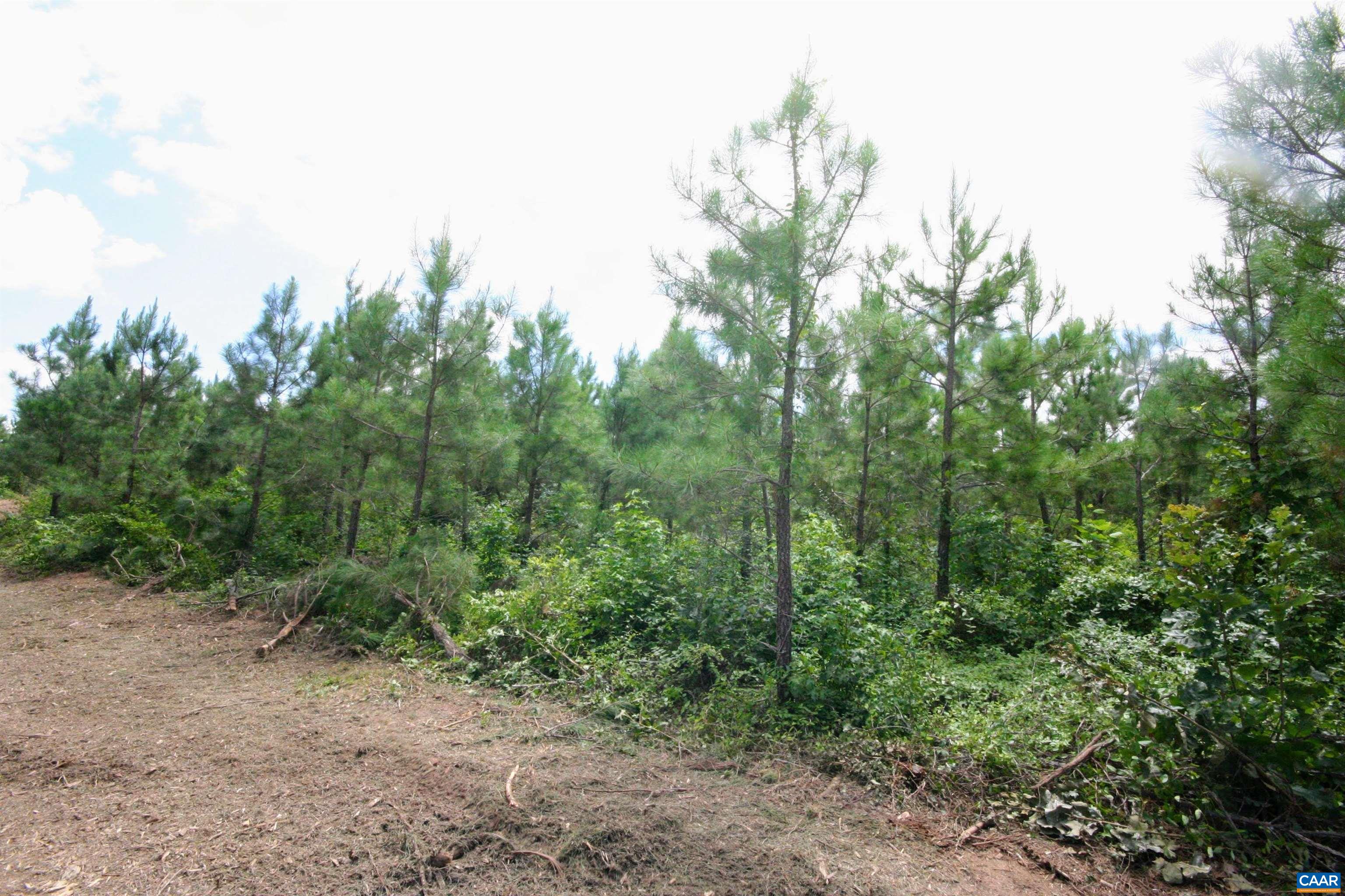 Tba Lot 3 Tba Road New Canton, VA 23123 - Photo 26 of 47 Gallery Image 26