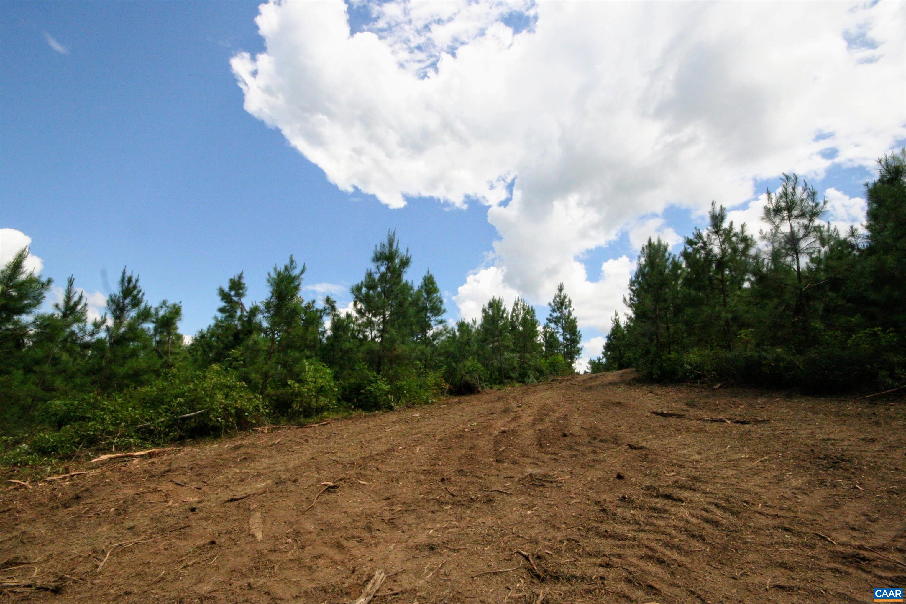 Tba Lot 3 Tba Road New Canton, VA 23123 - Photo 29 of 47 Gallery Image 29