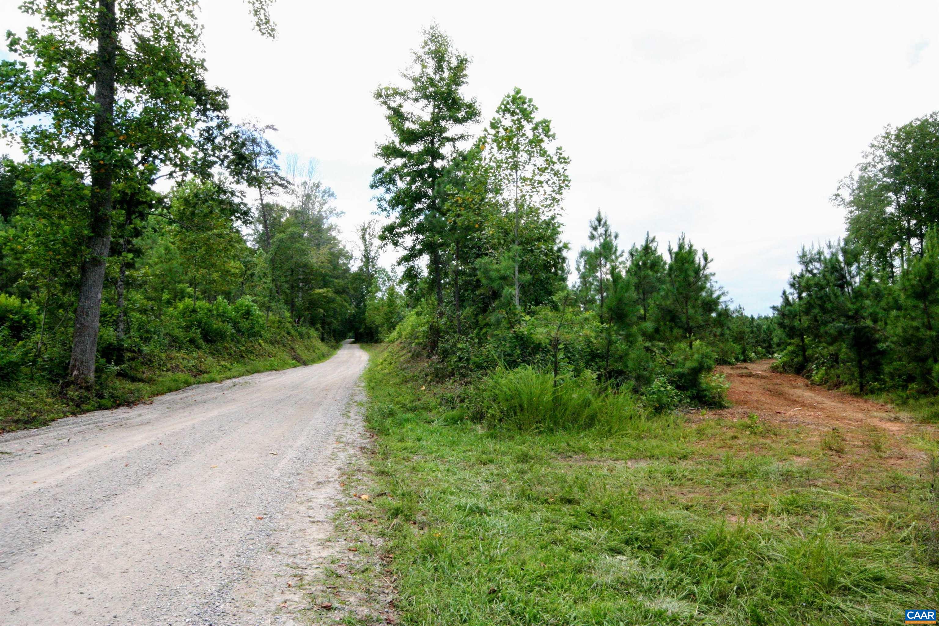 Tba Lot 3 Tba Road New Canton, VA 23123 - Photo 4 of 47 Gallery Image 4