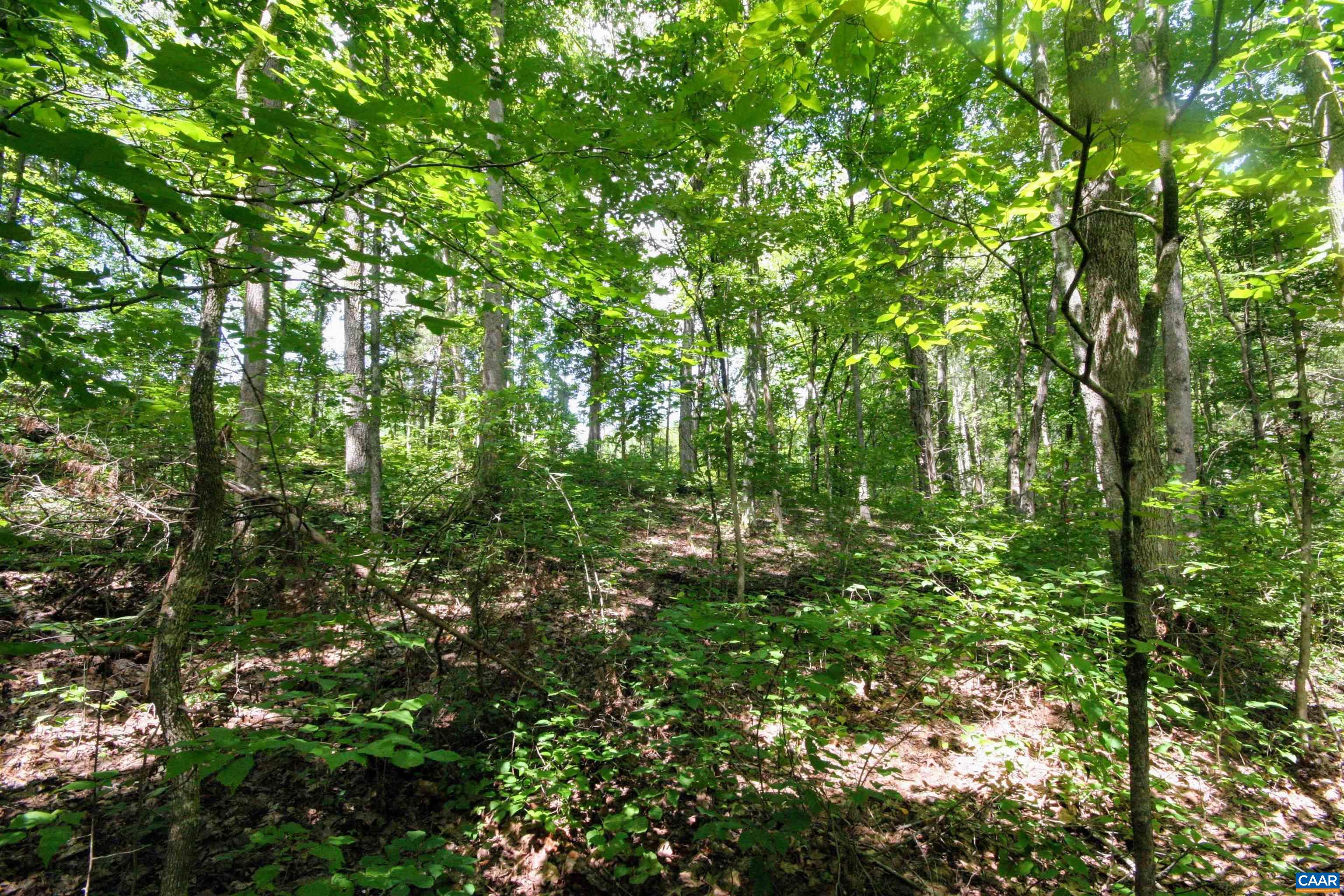 Tba Lot 3 Tba Road New Canton, VA 23123 - Photo 41 of 47 Gallery Image 41