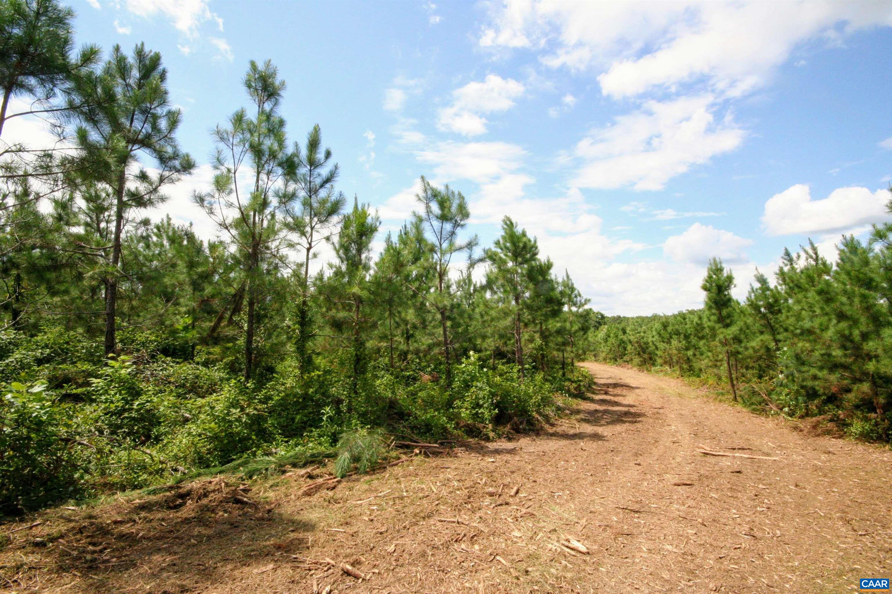 Tba Lot 3 Tba Road New Canton, VA 23123 - Photo 45 of 47 Gallery Image 45