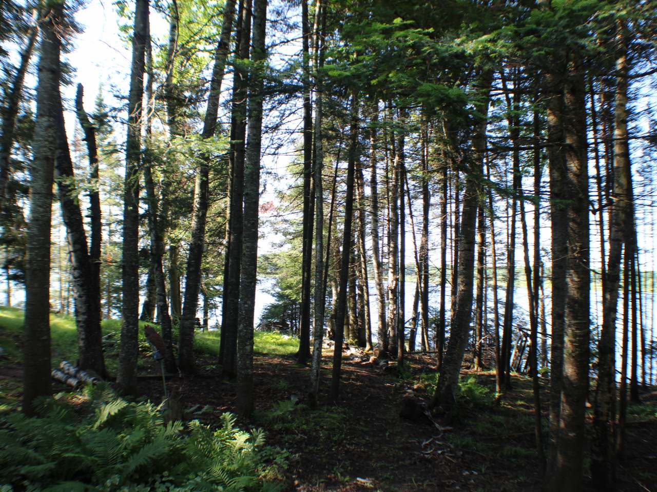 9513 Ruffed Grouse Road Presque Isle, WI 54557 - Photo 24 of 32 Gallery Image 24