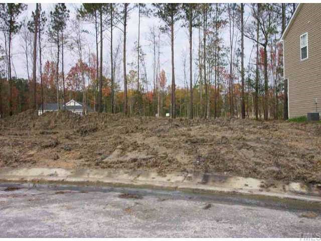5405 Neuse Planters Court Raleigh, NC 27616 - Photo 1 of 1 a view of a yard with trees in the background
