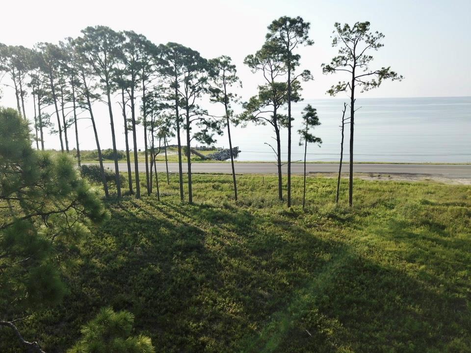 117 Woodill Road Carrabelle, FL 32322 - Photo 1 of 11