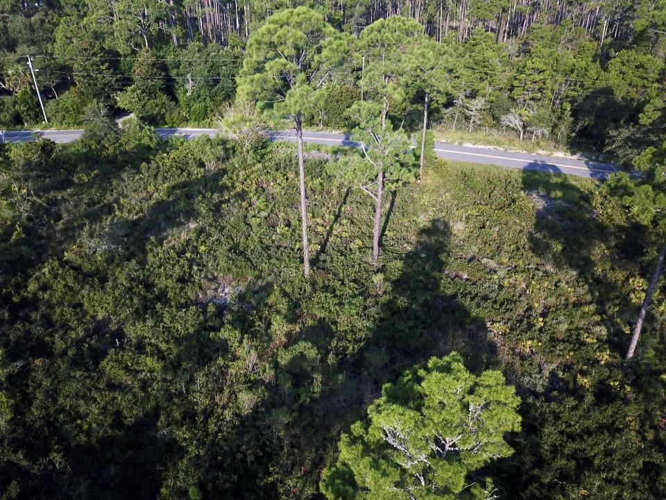 117 Woodill Road Carrabelle, FL 32322 - Photo 4 of 11