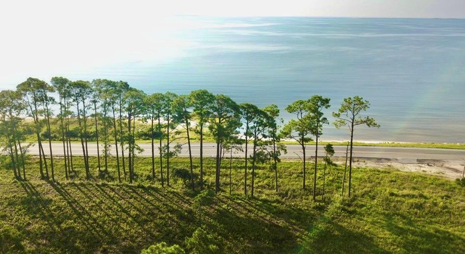 117 Woodill Road Carrabelle, FL 32322 - Photo 5 of 11