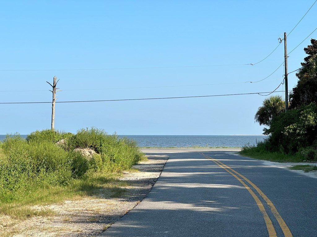 117 Woodill Road Carrabelle, FL 32322 - Photo 9 of 11