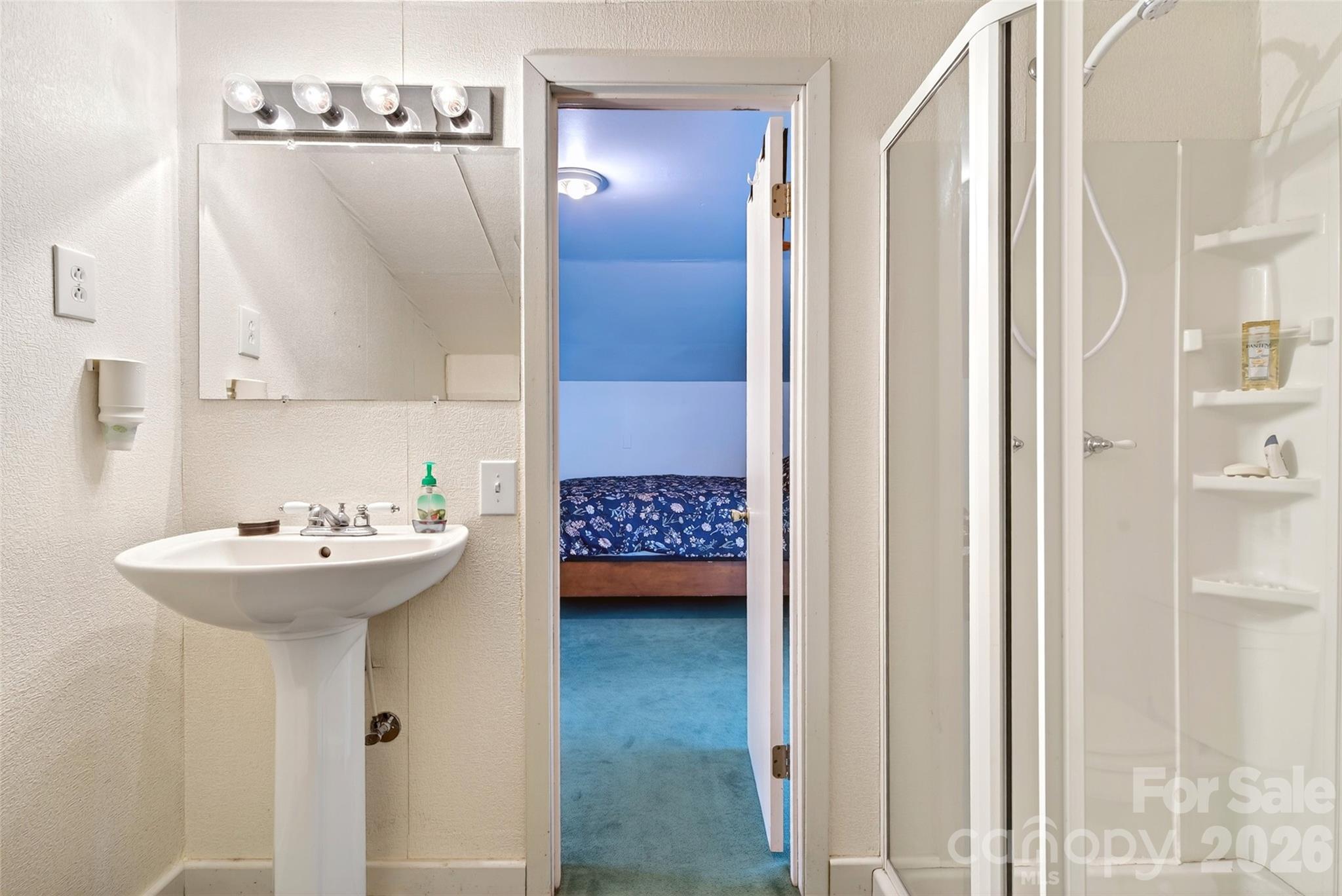 1511 White Oak Road Bakersville, NC 28705 - Photo 24 of 33 a bathroom with a sink and mirror