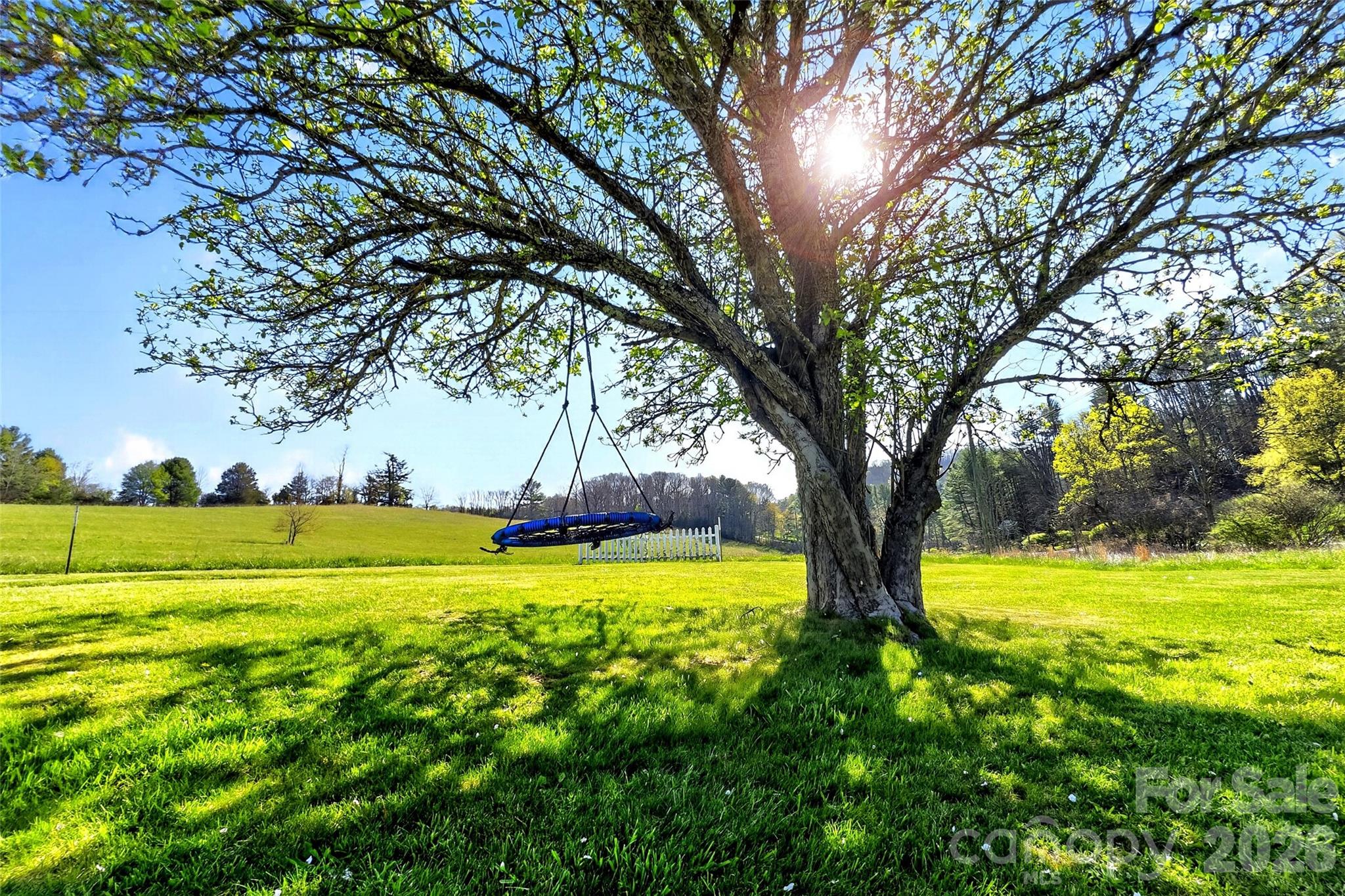 1511 White Oak Road Bakersville, NC 28705 - Photo 33 of 33 a view of an outdoor space with swimming pool
