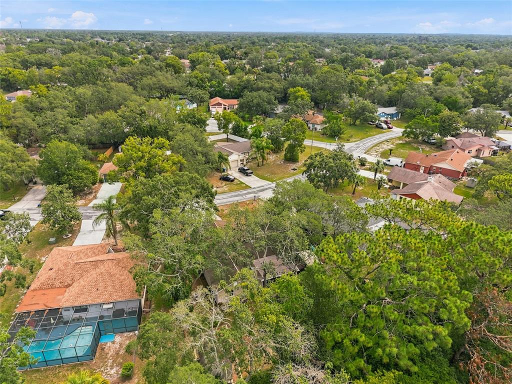 7407 Philatelic Drive Spring Hill, FL 34606 - Photo 42 of 43