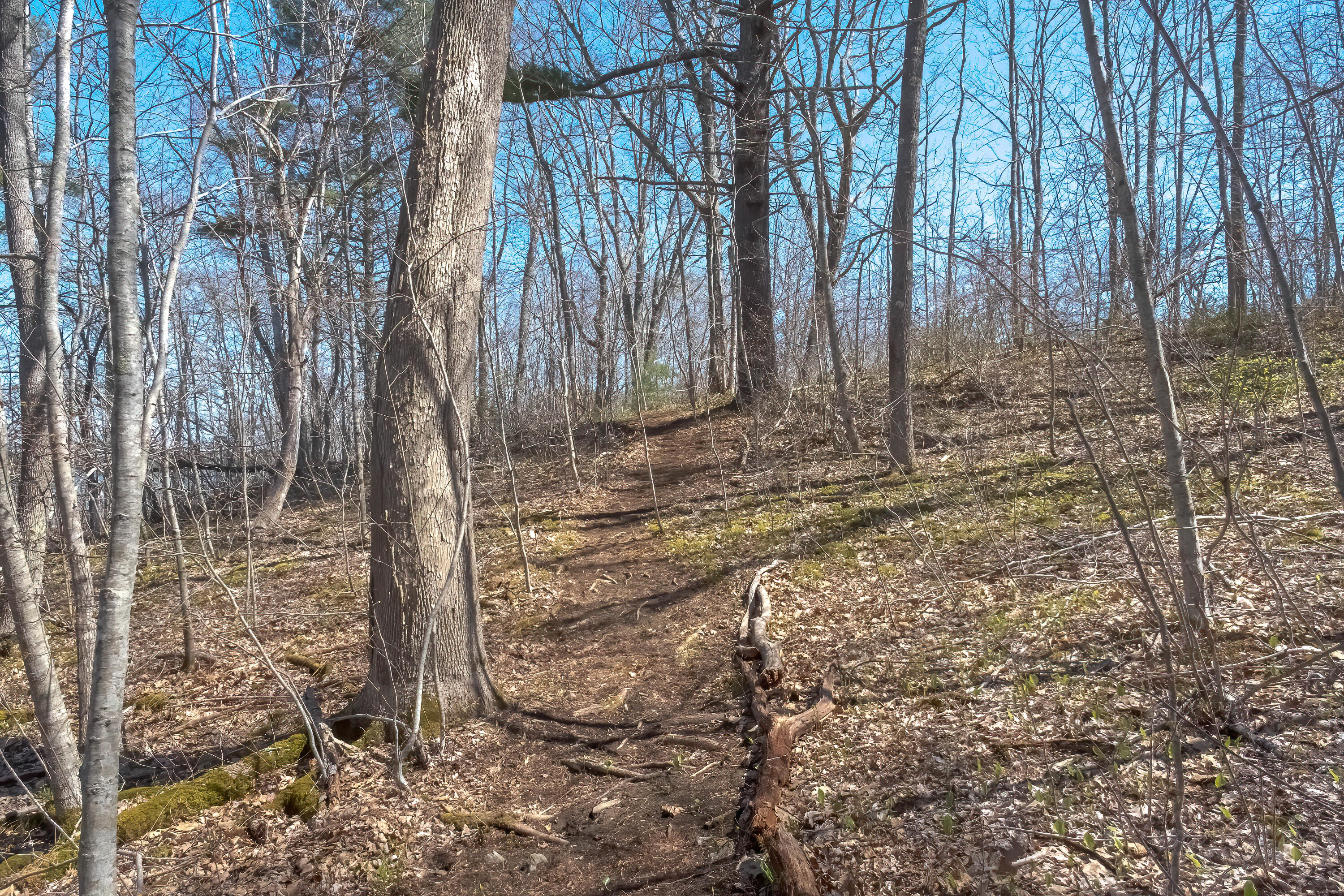0 Waldoboro Road Bremen, ME 04551 - Photo 4 of 11 20220505_Lot-43A_Route-32_4653
