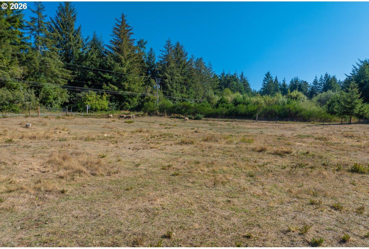 56008 Spring Creek Road Bandon, OR 97411 - Photo 21 of 30 Gallery Image 21