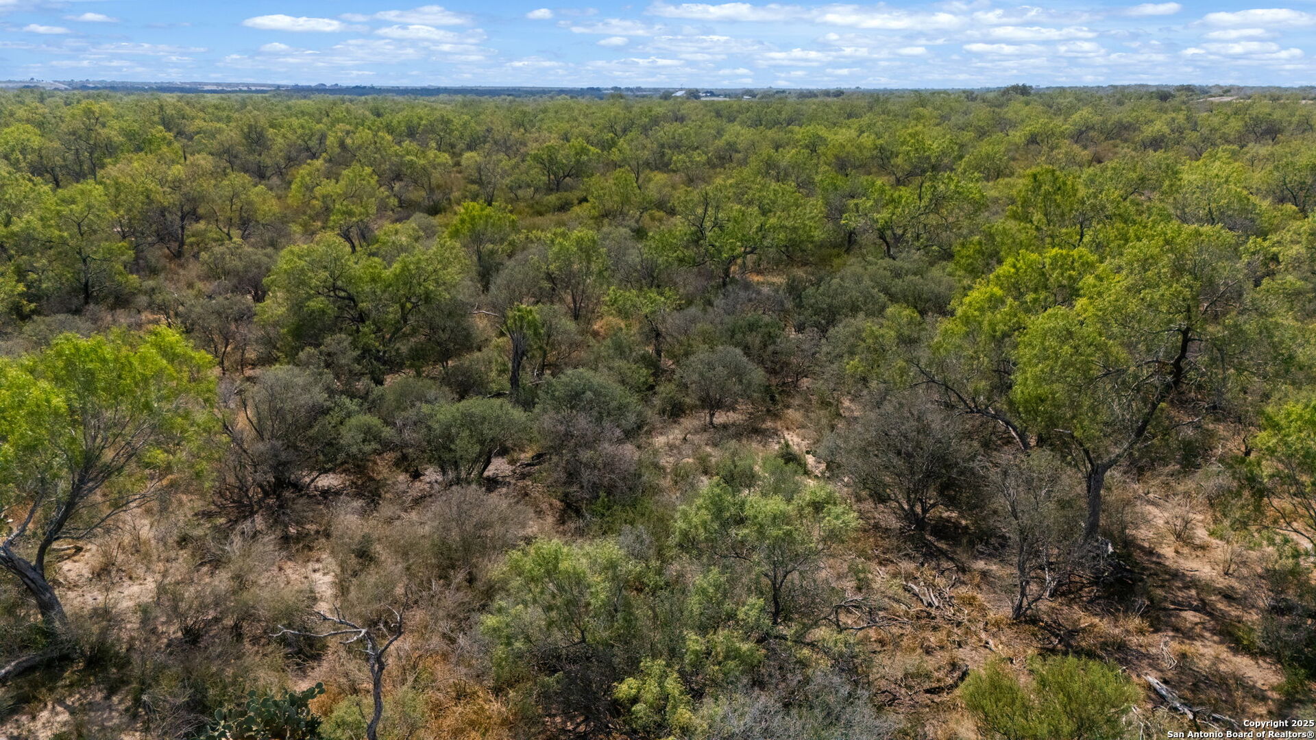 0 Cr 765 Devine, TX 78016 - Photo 12 of 42