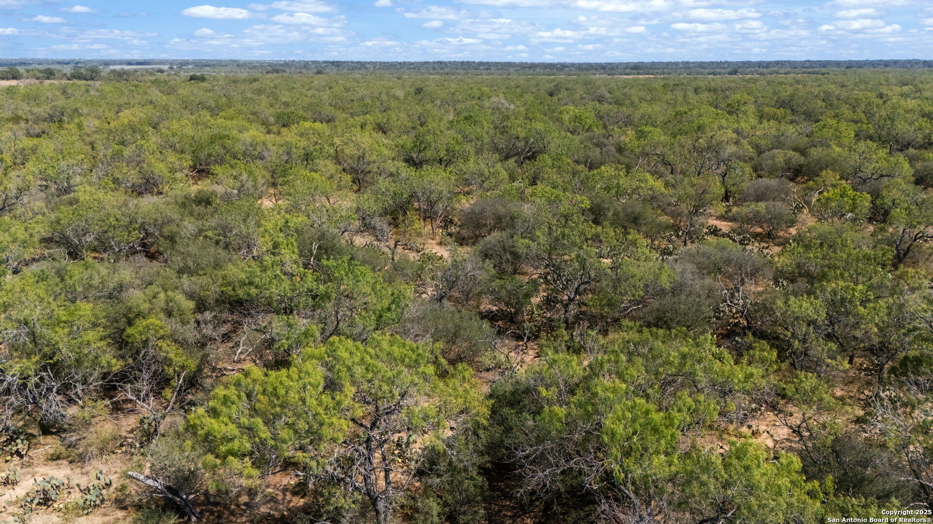 0 Cr 765 Devine, TX 78016 - Photo 13 of 42