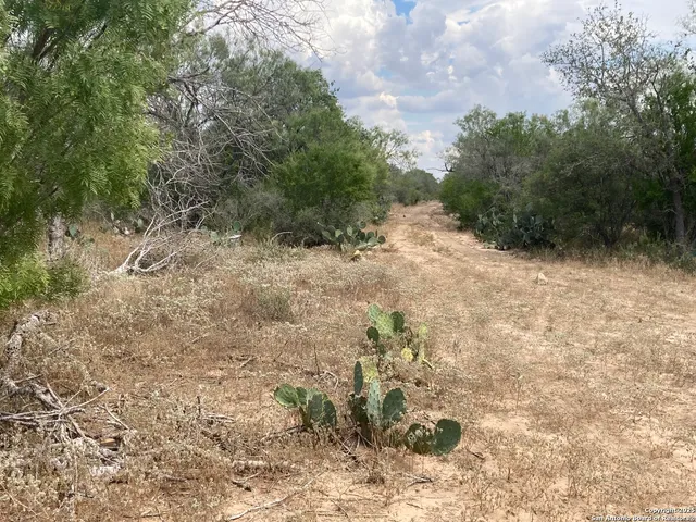 $3,500,000 | 0 Cr 765, Devine, TX 78016