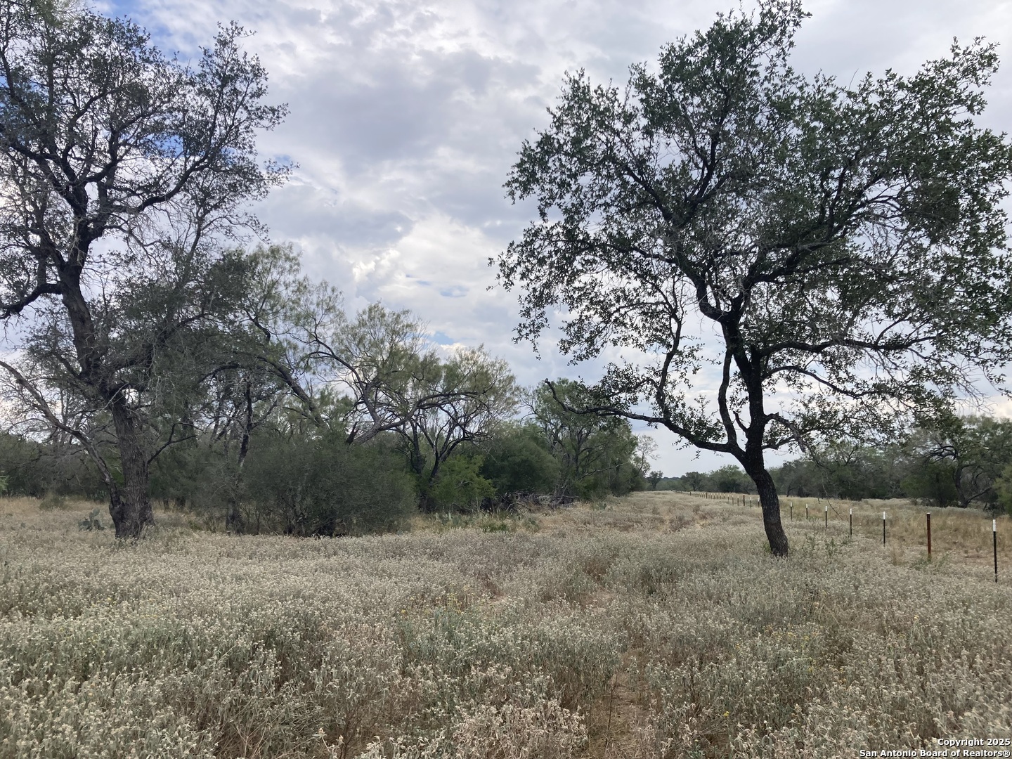 0 Cr 765 Devine, TX 78016 - Photo 21 of 42