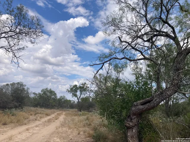 $3,500,000 | 0 Cr 765, Devine, TX 78016