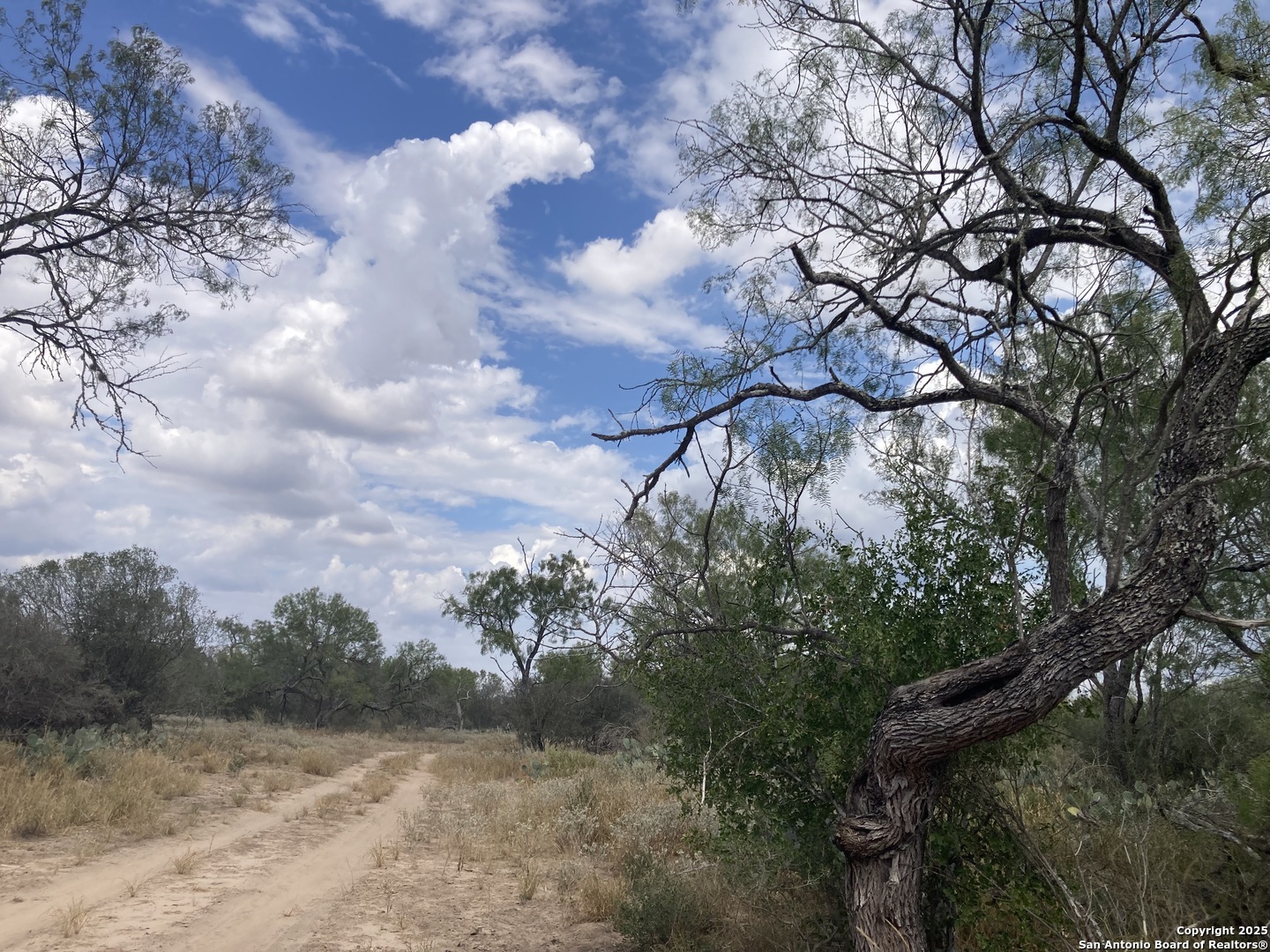 0 Cr 765 Devine, TX 78016 - Photo 22 of 42