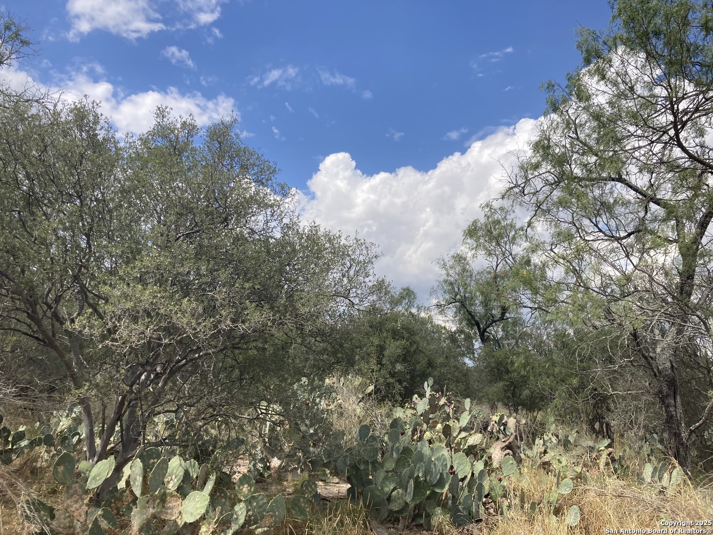 0 Cr 765 Devine, TX 78016 - Photo 23 of 42