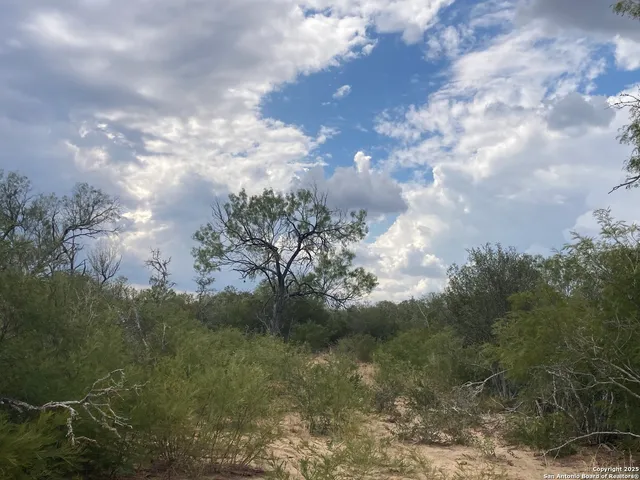 $3,500,000 | 0 Cr 765, Devine, TX 78016
