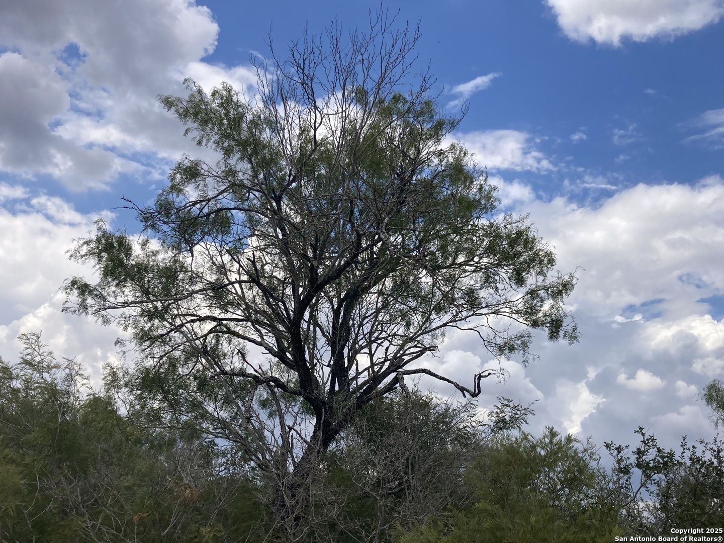 0 Cr 765 Devine, TX 78016 - Photo 32 of 42