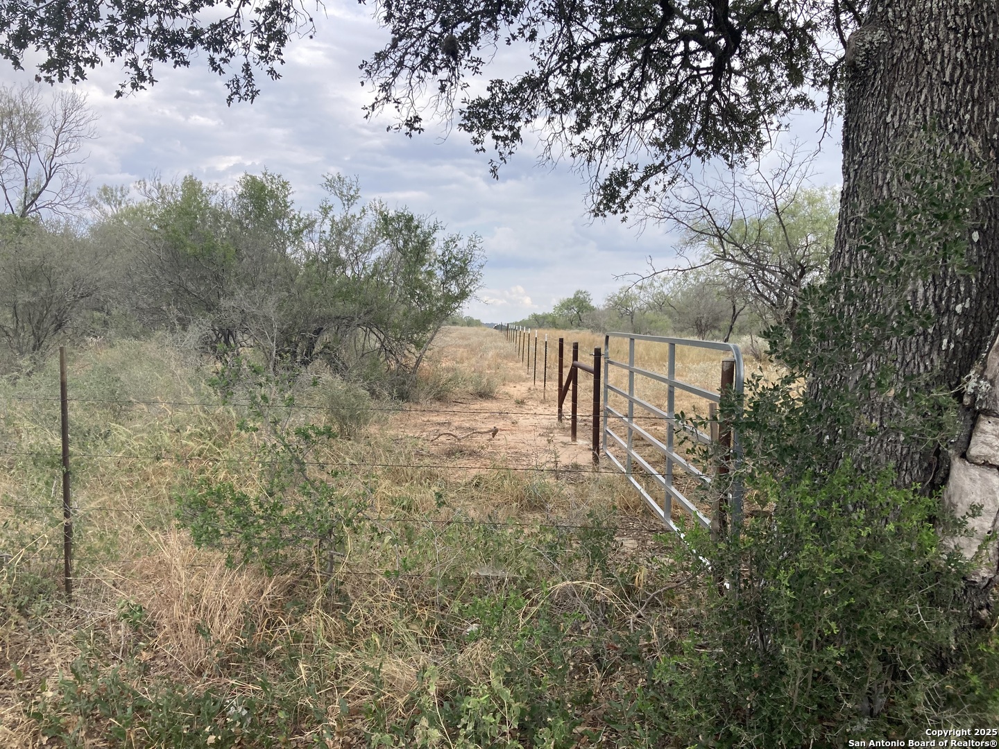 0 Cr 765 Devine, TX 78016 - Photo 35 of 42