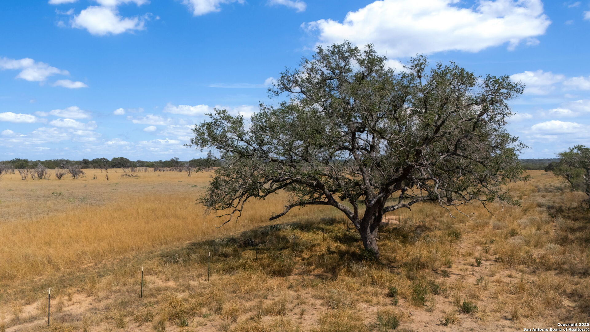 0 Cr 765 Devine, TX 78016 - Photo 8 of 42