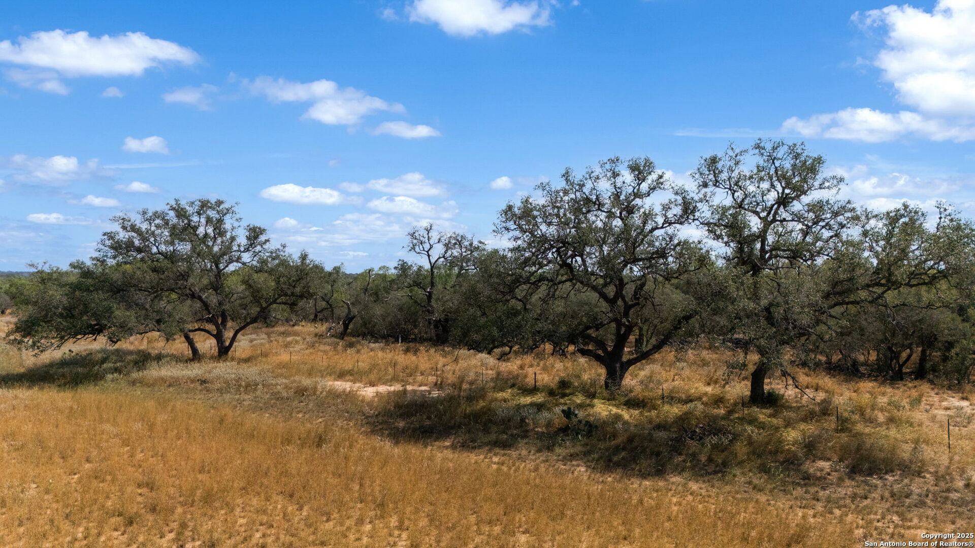 0 Cr 765 Devine, TX 78016 - Photo 9 of 42