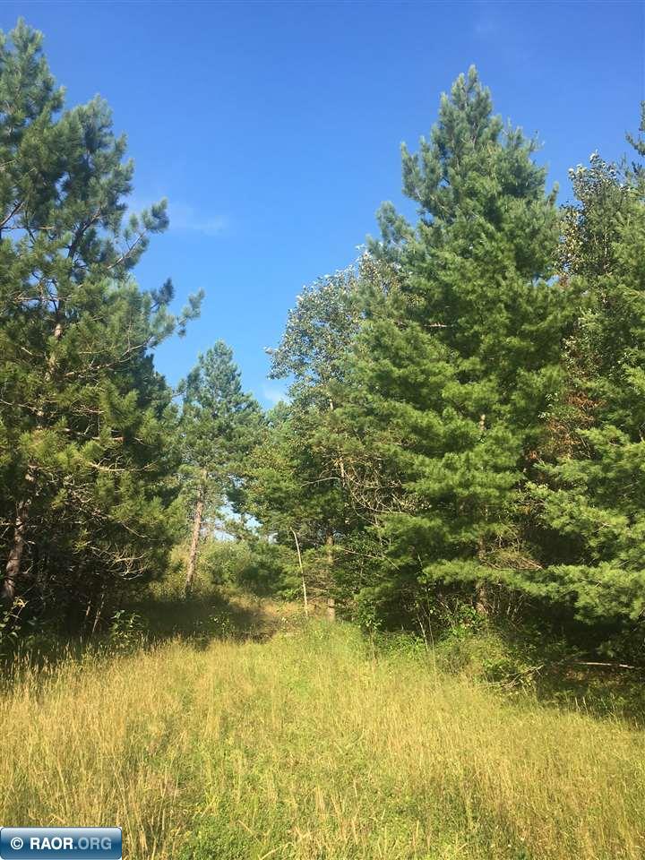 73 Highway 73 Cook, MN 55723 - Photo 2 of 4