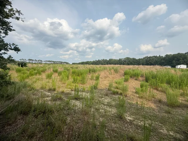 $34,900 | 2 Rainbow Drive, Unit QAF 2, Salley, SC 29137