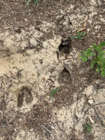 $34,900 | 2 Rainbow Drive, Unit QAF 2, Salley, SC 29137