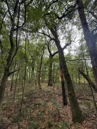 $34,900 | 2 Rainbow Drive, Unit QAF 2, Salley, SC 29137