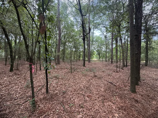 $34,900 | 2 Rainbow Drive, Unit QAF 2, Salley, SC 29137