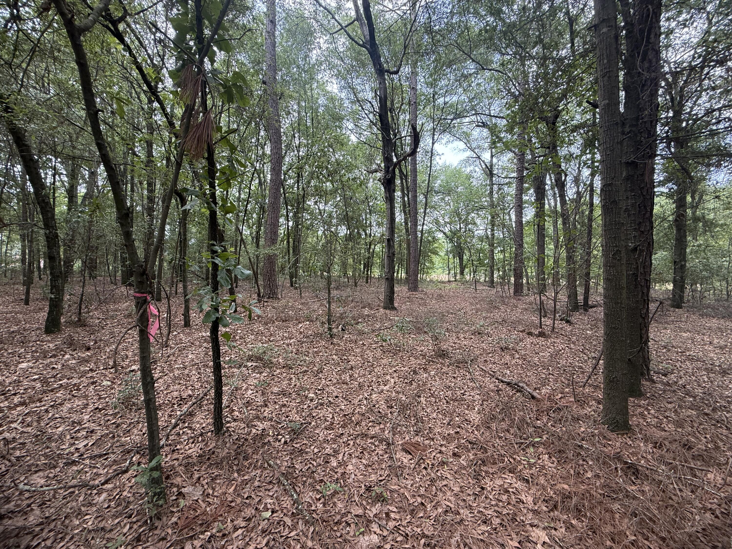 2 Rainbow Drive, Unit QAF 2 Salley, SC 29137 - Photo 10 of 10 QAF8