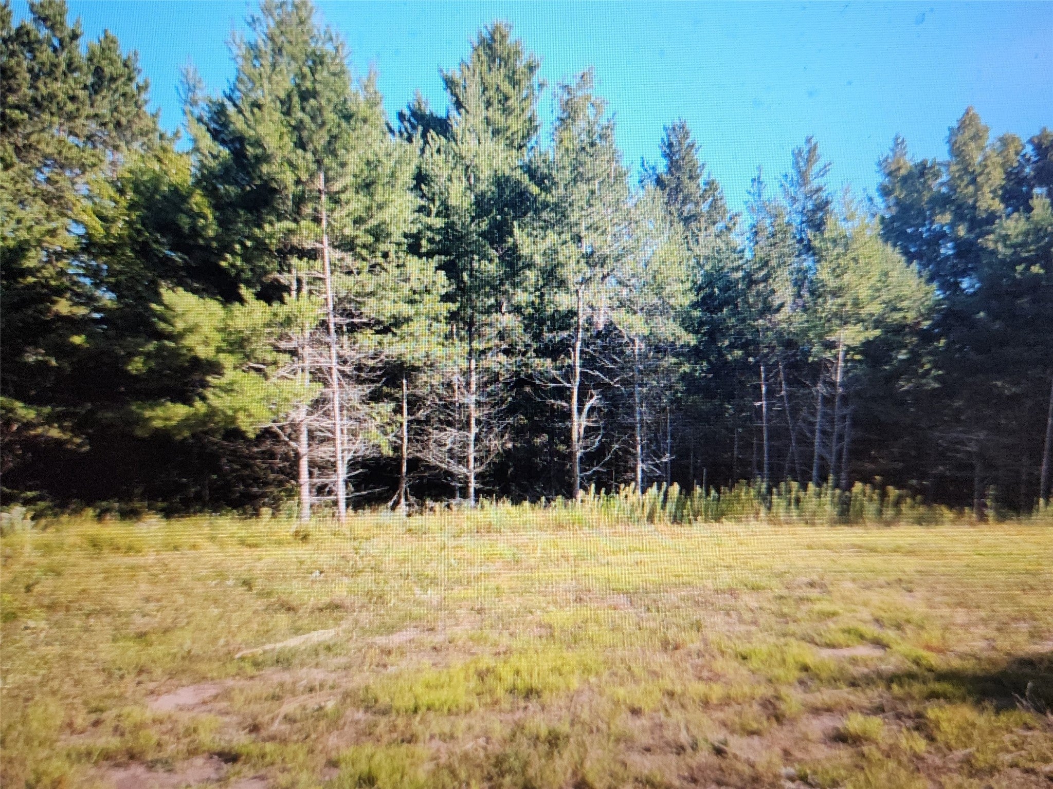 3380 West Highway 63 Springbrook, WI 54875 - Photo 11 of 14 Gallery Image 11