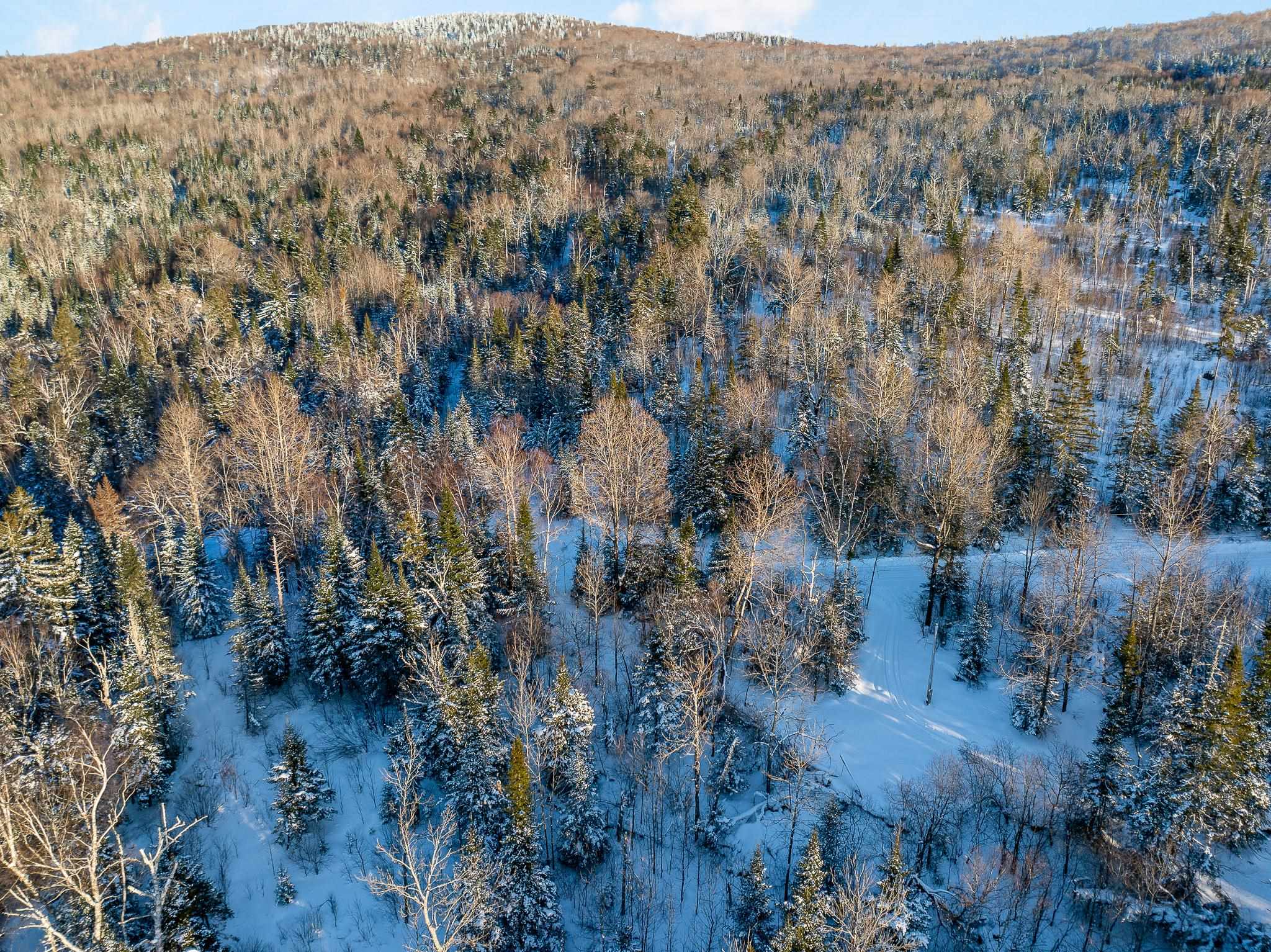 Hill Road Stewartstown, NH 03576 - Photo 6 of 11