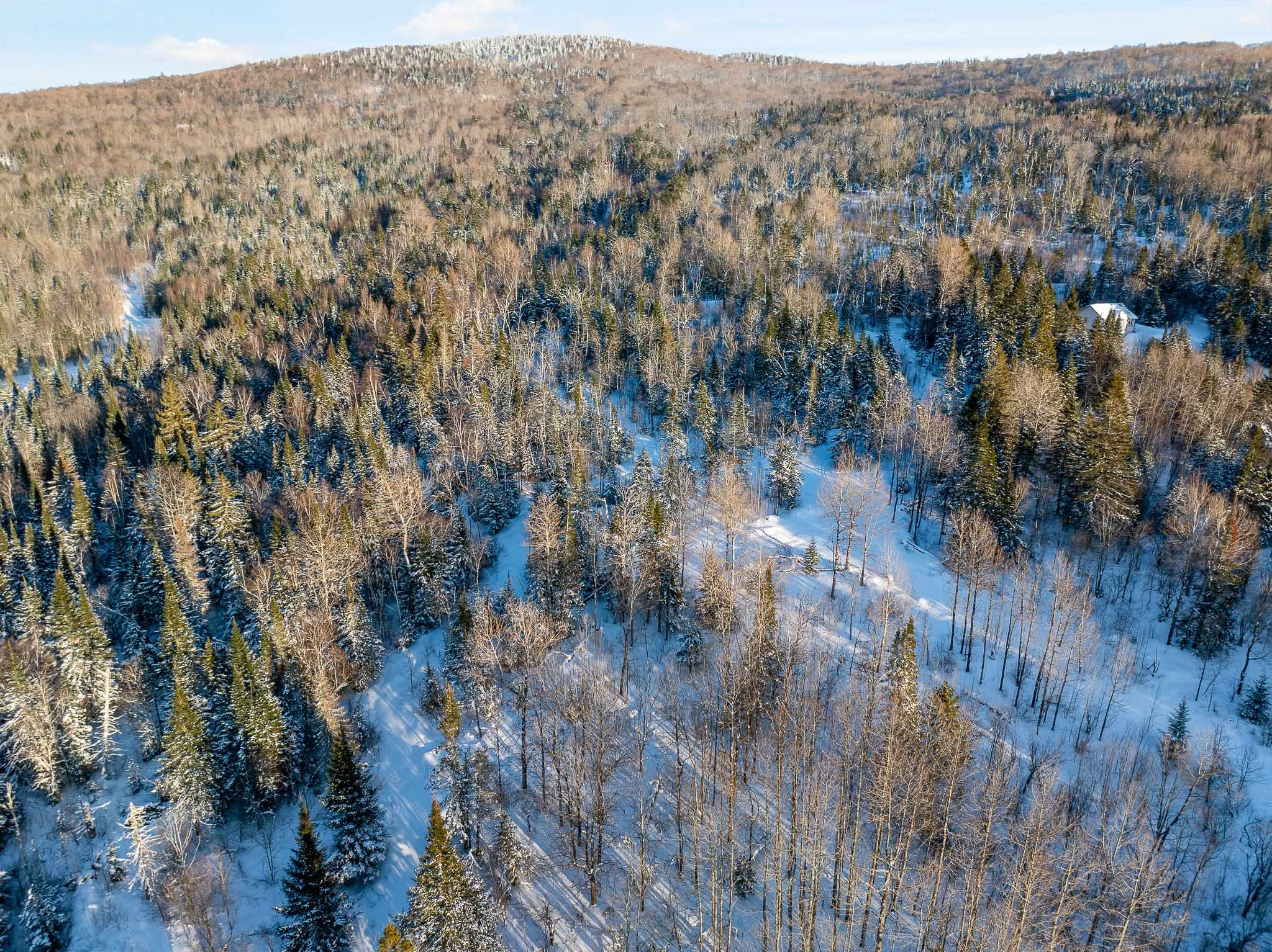 Hill Road Stewartstown, NH 03576 - Photo 10 of 11