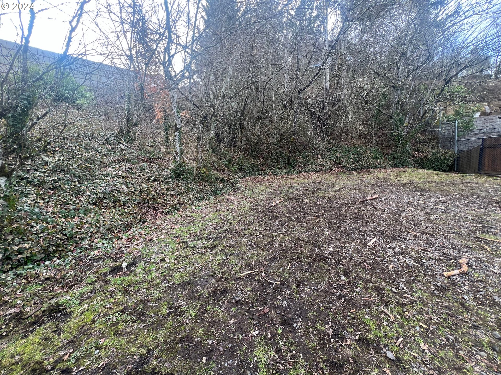 3035 Southwest 11th Avenue Portland, OR 97239 - Photo 3 of 9