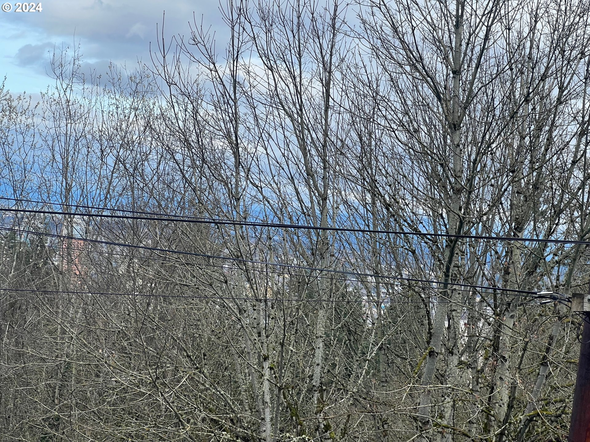 3035 Southwest 11th Avenue Portland, OR 97239 - Photo 9 of 9