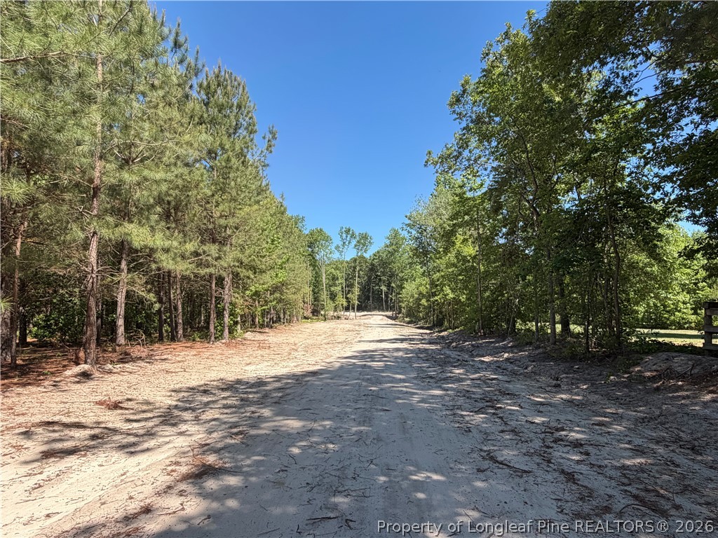 1098 Cedar Lane Road Sanford, NC 27332 - Photo 5 of 12 Easement