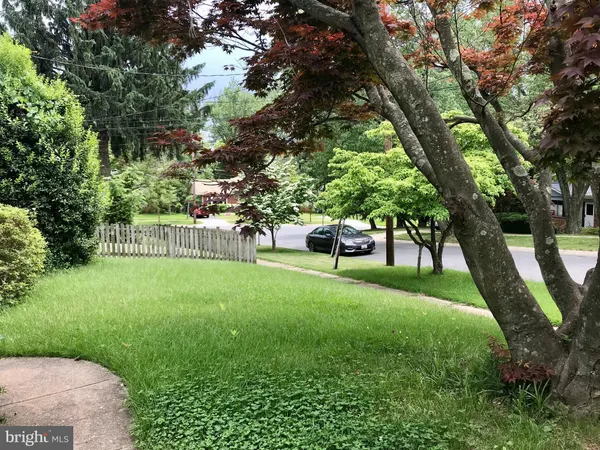 a view of a garden with trees